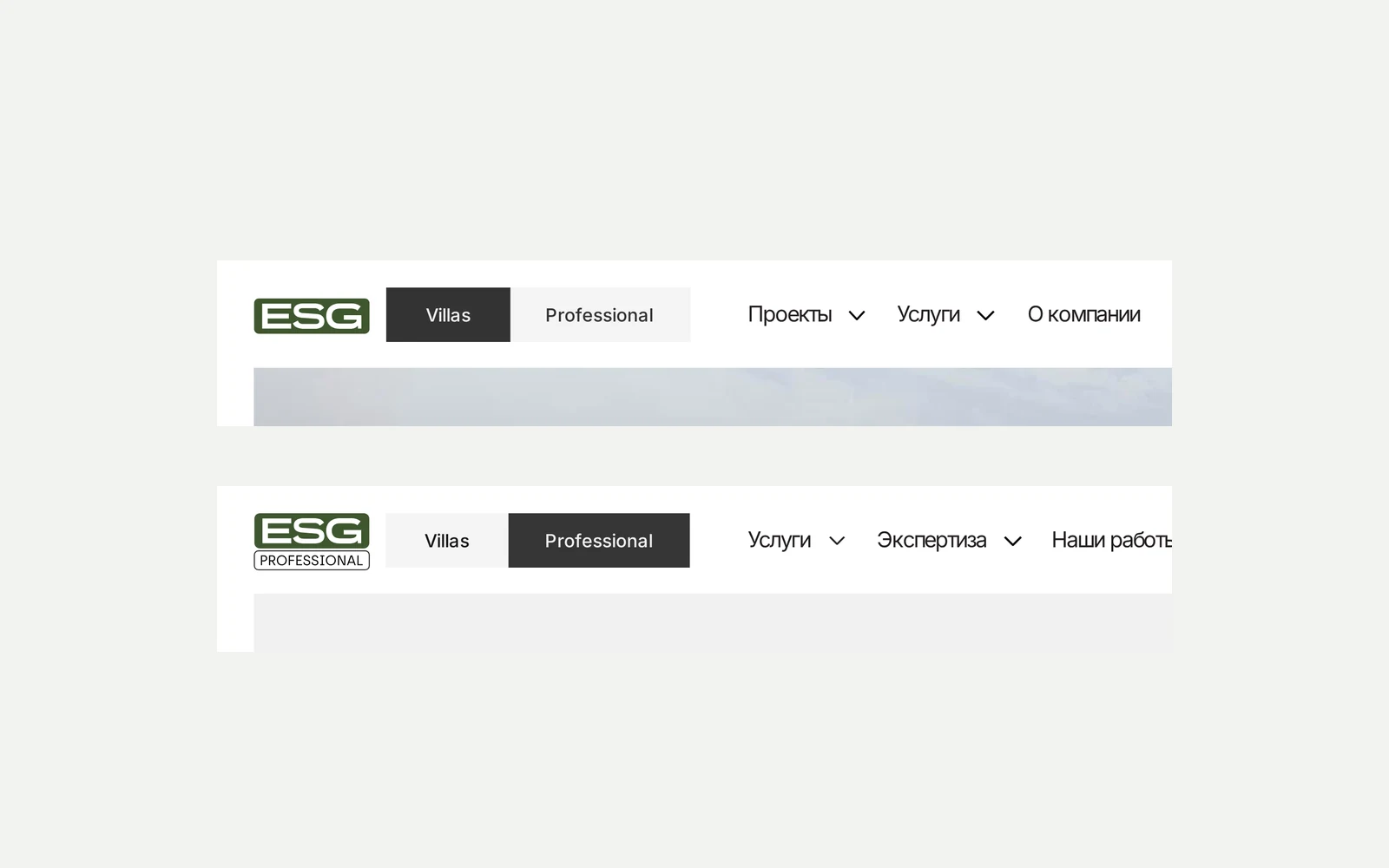 Логотипы двух направлений строительной компании: ESG Villas и ESG Professional